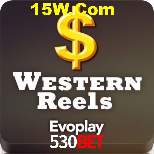 Security Systems 530bet